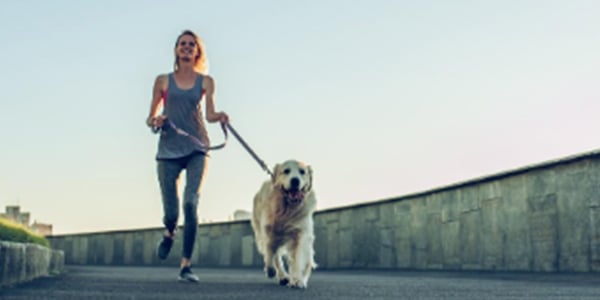 When Can You Start Running with Your Dog? | Preventive Vet